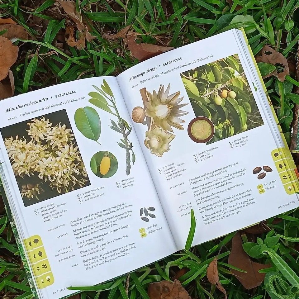 An open spread of the book showing entries for Manilkara hexandra and Mimusops elengi